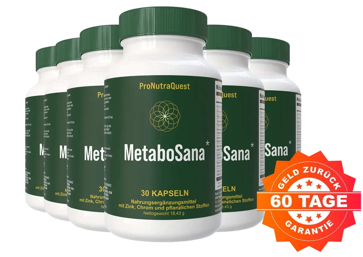 Metabo Sana 6 Bottles